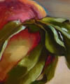 Plants: image 1 0f 4 thumb